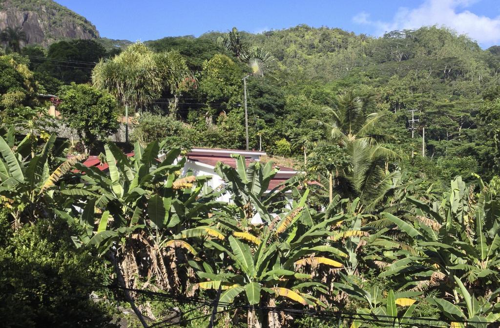 Papaya Villa *