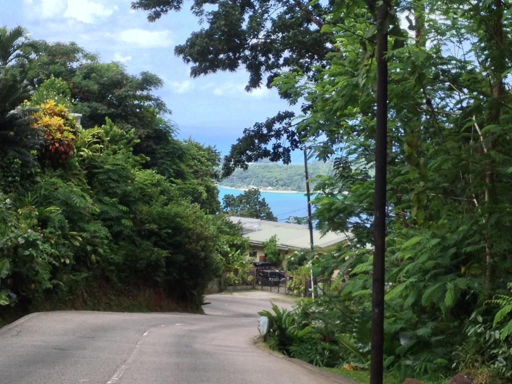 Papaya Villa